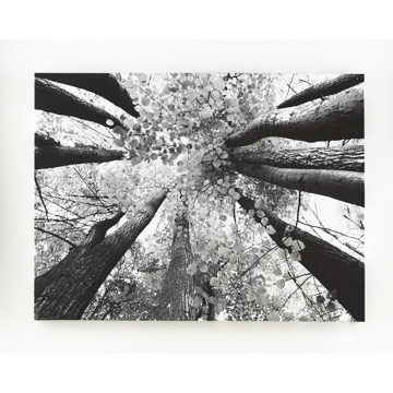 Picture of Ananya Wall Art