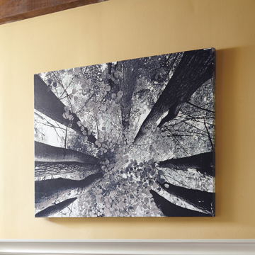 Picture of Ananya Wall Art