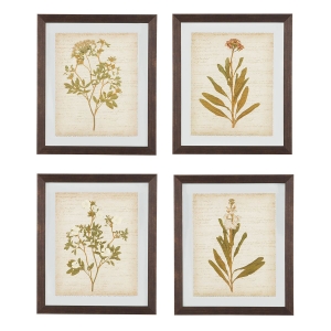 Picture of Dyani 4 Piece Floral Wall Art Set