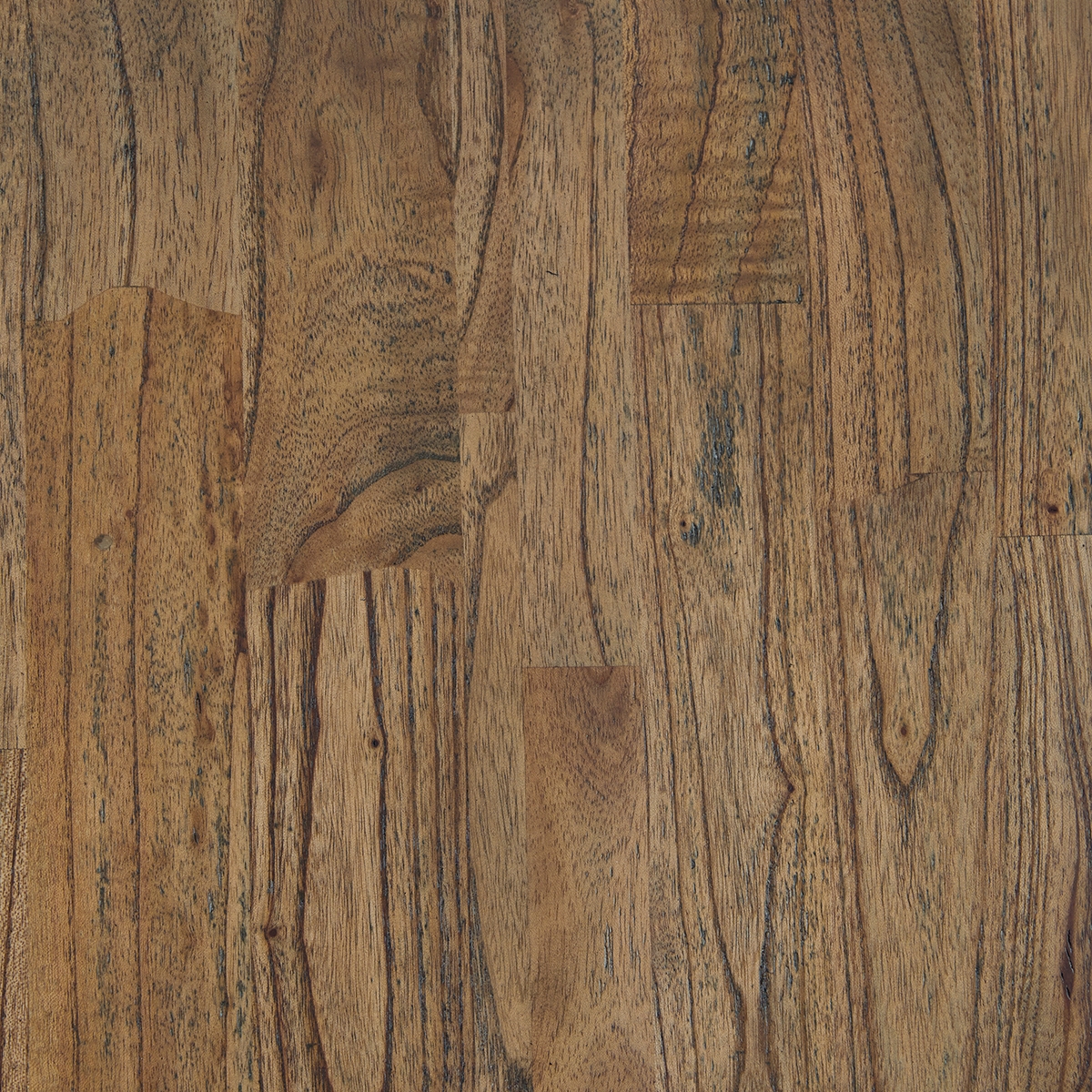 Picture of NEPTUNE DINING CHAIR