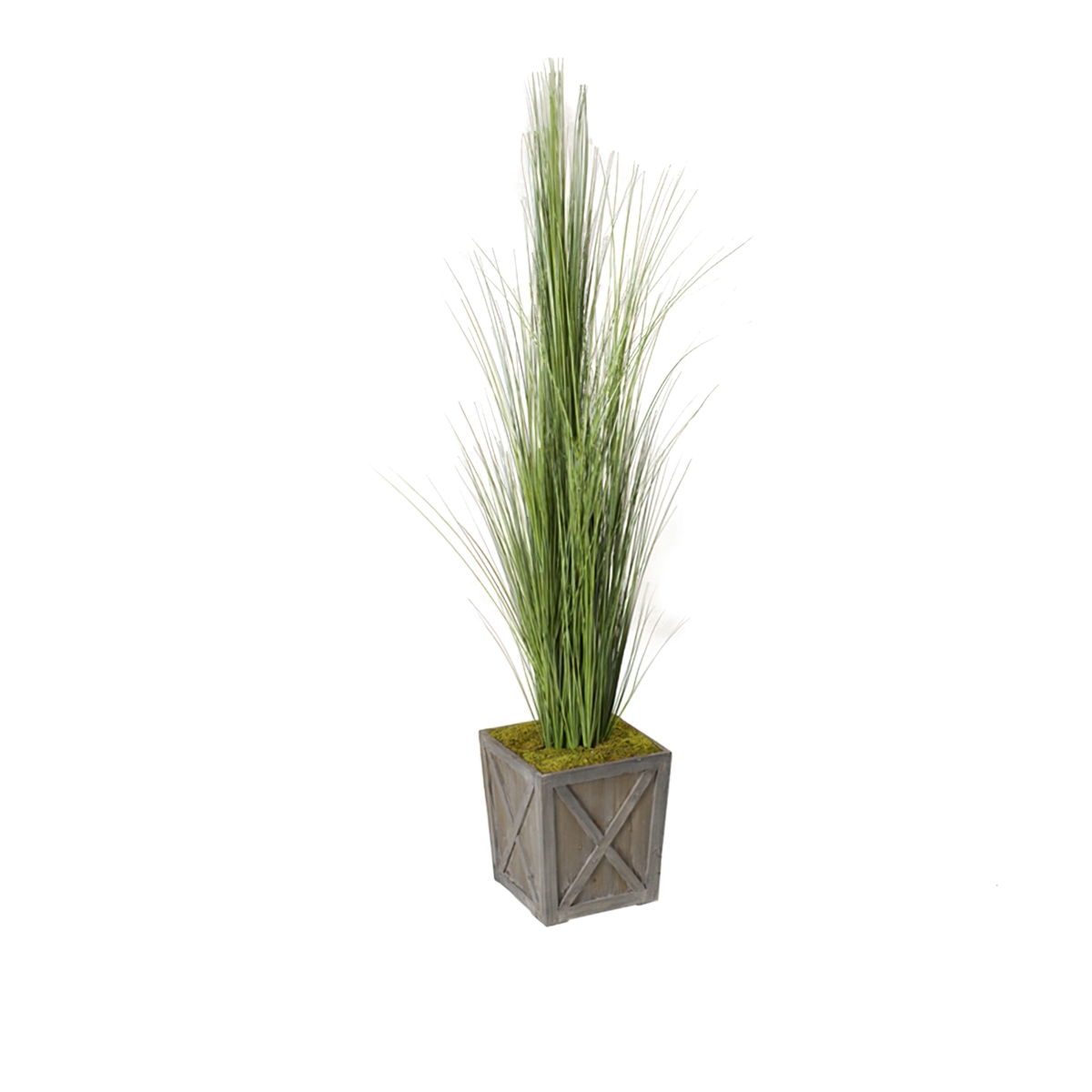 Picture of ONION GRASS WOODEN BOX 