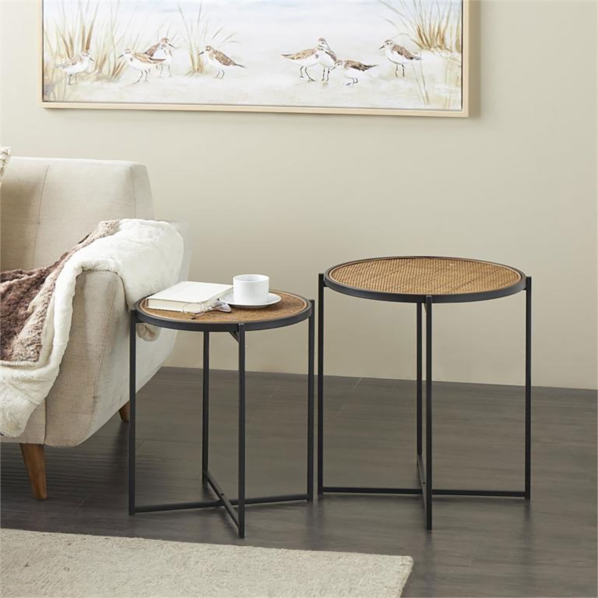 Picture of RATTAN METAL ACCENT TABLE S/2
