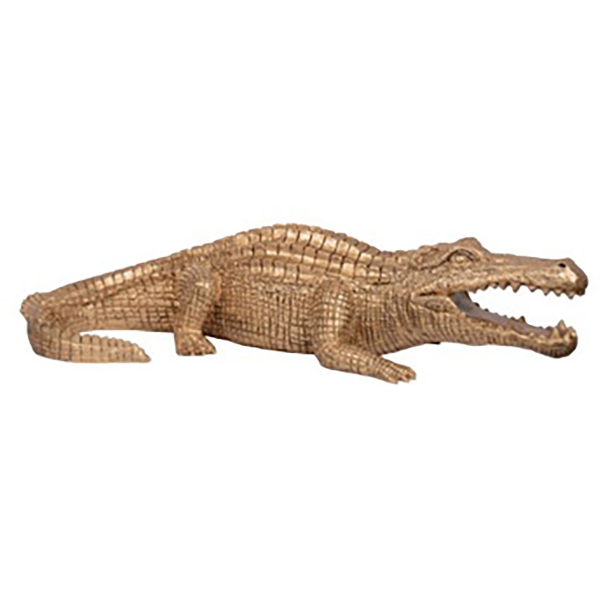 Picture of IRWIN'S GOLD ALLIGATOR