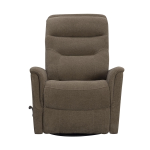 Picture of GEMINI SWGL RECLINER SNZY SHTAKE