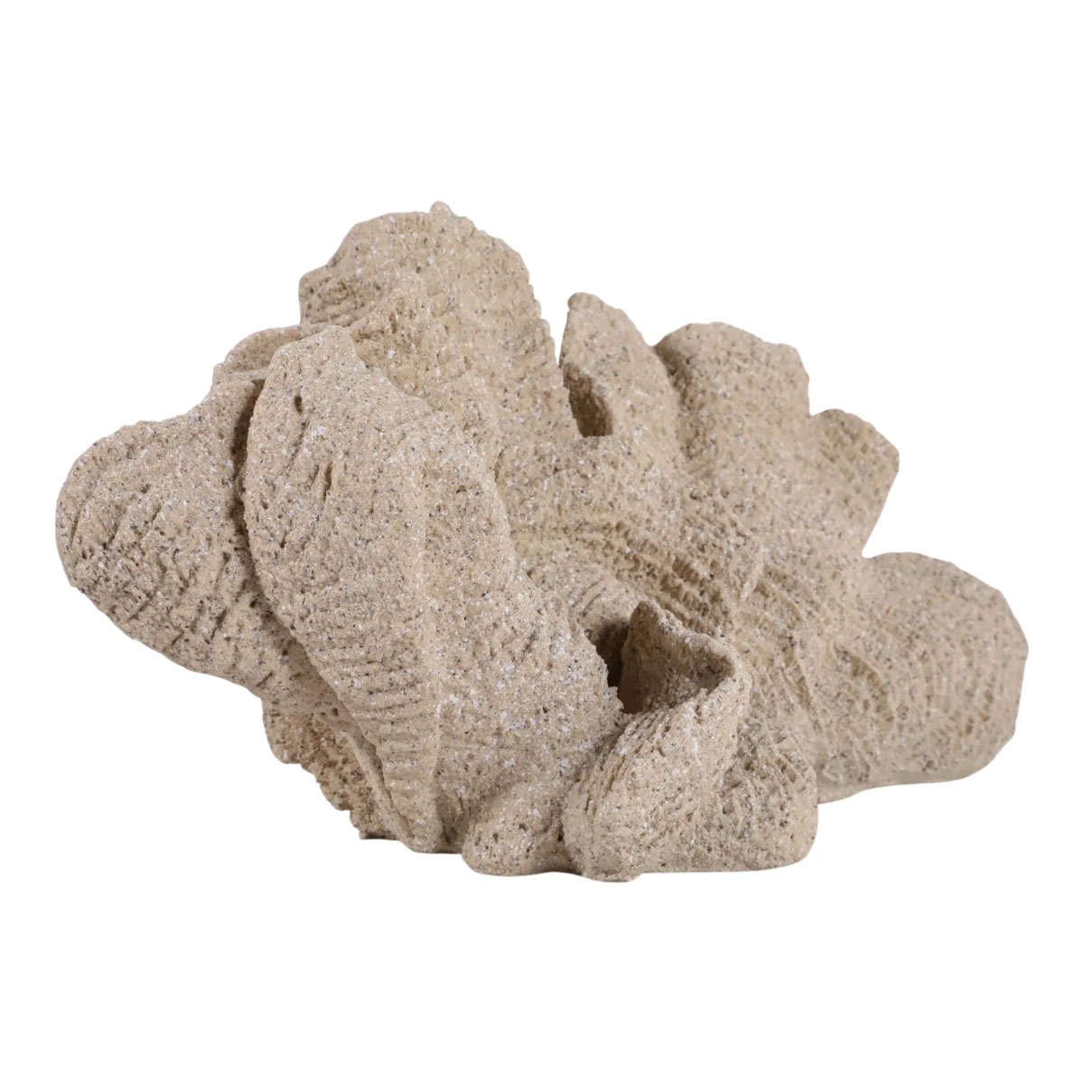 Picture of HEMMINGHOLM TAN CORAL DECOR