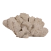 Picture of HEMMINGHOLM TAN CORAL DECOR