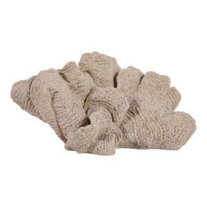 Picture of HEMMINGHOLM TAN CORAL DECOR
