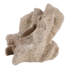 Picture of HEMMINGHOLM TAN CORAL DECOR