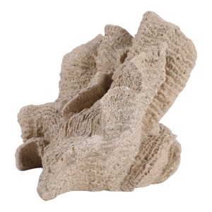 Picture of HEMMINGHOLM TAN CORAL DECOR