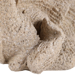 Picture of HEMMINGHOLM TAN CORAL DECOR