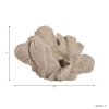 Picture of HEMMINGHOLM TAN CORAL DECOR