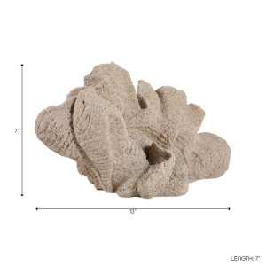 Picture of HEMMINGHOLM TAN CORAL DECOR